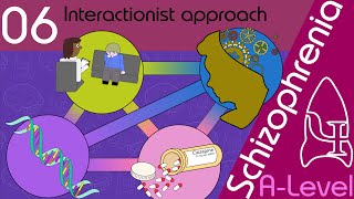 Interactionalist Explanation for Schizophrenia AQA ALevel [upl. by Amias]