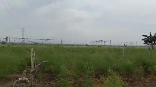 ASPARAGUS FARM IN PHILIPPINES [upl. by Hahnert]