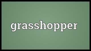 Grasshopper Meaning [upl. by Kamin]