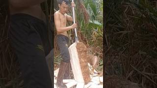 The process of cutting trees to make fuel [upl. by Gratianna]