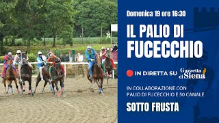 🔵 Palio di Fucecchio 2024  il giorno del Palio [upl. by Lobel211]