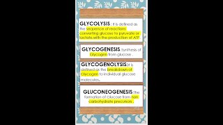 glycolysisglycogenesisglyconeogenesisglycogenolysisbiologyneetbiochemistrysciencestudents [upl. by Yellas]