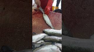 Butterfly filleting of trout for restaurants fishcutting [upl. by Perlis]