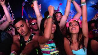 TomorrowWorld 2014  Borgore [upl. by Igiul485]