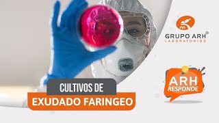 🦠Cultivos de Exudado Faringeo  ARH Responde [upl. by Markman570]