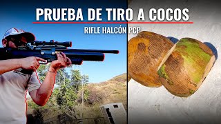 EL MEJOR RIFLE PCP  HALCÓN MENDOZA airgun pcp [upl. by Peedsaj217]