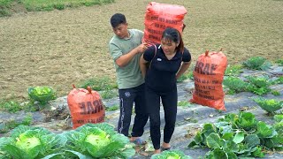 Life building diary Harvesting agricultural products preparing to cope with the rainy season [upl. by Floss]