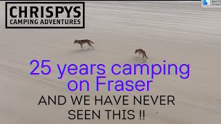 Camping on Fraser Island and this happened WHAT UNBELIEVABLE [upl. by Sisenej940]