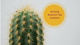 Ethische Kriterien für Feng Shui Schulen [upl. by Nnaegroeg453]