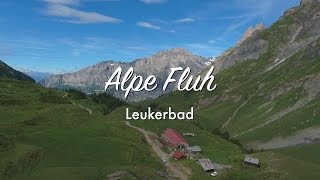 Alpe Fluh Leukerbad Foire Du Valais [upl. by Tolmach]