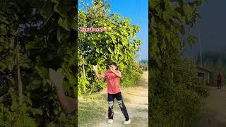 Banki chari dailyvlog dance nepalinewsaajka moviemusic keeploving moviesong nepali love [upl. by Cori966]