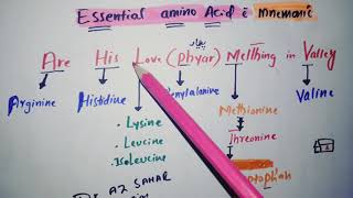 Essential Amino acid with Mnemonic [upl. by Akiv894]