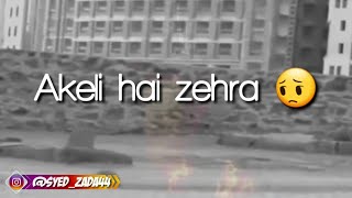 Noha  akeli hai zehra SA  Zainab Batool  Whats app status 2019 HD [upl. by Noraed]