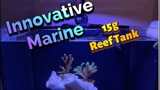 Innovative Marine Nuvo Fusion 15 Gallon Simple Reef Budget Friendly innovativemarine [upl. by Eissalc842]