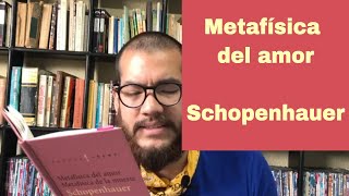 Schopenhauer  Metafísica del Amor [upl. by Eelir]