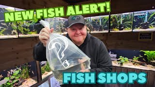 NEW FISH ALERT Exploring Fish Shops for the NEXT BIG Additions to the FISH ROOM [upl. by Earal95]