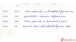 Elongated peduncle bearing pedicellate flowers continuosly acrropetal order is [upl. by Sontag]