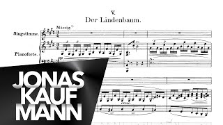 Jonas Kaufmann Der Lindenbaum Winterreise [upl. by Hcurob]