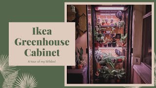 IKEA Greenhouse Cabinet Tour Milsbo Edition [upl. by Selmner]