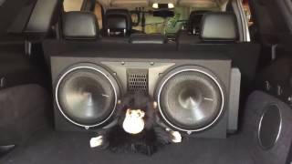 Rockford Fosgate Punch P3 2x12 subs with P1000X1BD amp [upl. by Beacham266]