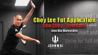 Choy Lee Fut Applications Sow ChoyOverhand Hook [upl. by Mandal]