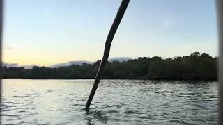 Kongo River Estuary Diani Tiwi Beach Kwale County Coastal Region Sunset Cruise Canoe Tour Hidden Gem [upl. by Jaquenetta]