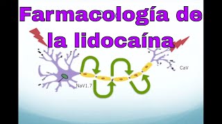 Farmacología de la lidocaína y otros anestésicos locales [upl. by Ytok]