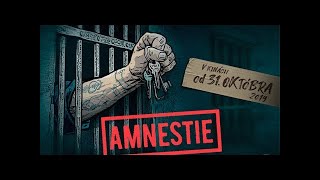 Amnestie  Official Trailer 2019 [upl. by Jaclyn444]