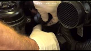 3 Series Purge Valve DIY E46 P0444 Removal And Installation With Full Diagnosis Steps [upl. by Tilney89]