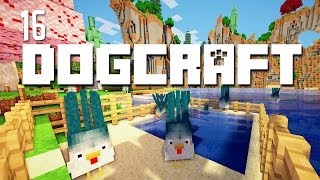 Squicken Beach  Dogcraft Ep16 [upl. by Nido]