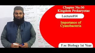 Biology Ch06Lecture14 Importance of cyanobacteria FSc 1st Year [upl. by Alekin864]