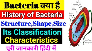 What is Bacteria Bacteria History Characteristics Bacterial Classification Bacteria Shape ampsize [upl. by Helge]