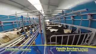 Dairymaster Schnellaustrieb amp Swing Over Melkstand [upl. by Kenney8]