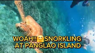 BALICASAG ISLAND PANGLAO BOHOL SNORKELING WEEKEND GETAWAY 🥰 [upl. by Dutch]