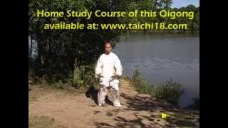 Tai Chi Qigong Shibashi  Set 2 [upl. by Tebor]