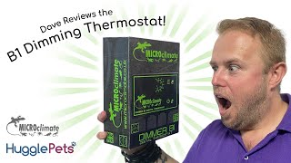 Dave Reviews the Microclimate B1 Thermostat  Product Review  Reptiles  HugglePets [upl. by Ardeth]