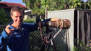 Backyard Birding with Luke Paterson  Striated Pardalote [upl. by Gaiser453]