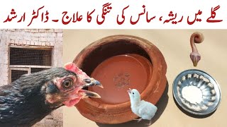 Chicken Wheezing  Helping Chickens to get rid of Excessive Mucus in Throat  Dr ARSHAD [upl. by Weisbrodt]