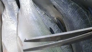 Milkfish Scaling Slicing Aling tindera vlogs [upl. by Haikan]