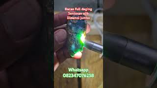 Bacan dim jombo senteran ajibb shorts batuakik bacannatural batupermata bacan [upl. by Bertolde]