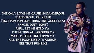 Chris Brown Questions lyrics [upl. by Esilegna]