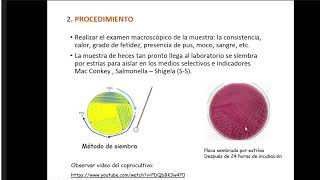 Microbiología  Práctica 11 Enterobacterias  Dr Zárate [upl. by Etiuqal]