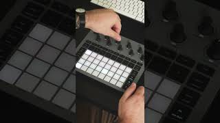 Circuit Tracks vs Circuit Rhythm  Whats the difference [upl. by Loftus]