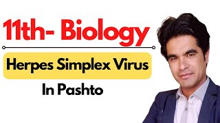 Herpes Simplex Virus  Types  Diagnosis  Symptoms  Treatment and prevention in pashto [upl. by Anemolihp]