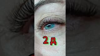 Наращивание ресниц 2 Д 🔥🔥🔥 наращиваниересниц lashes ресницы лешмейкер 2д [upl. by Assirolc]