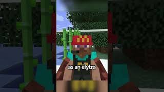 The Elytra is ACTUALLY really slow [upl. by Lowell641]