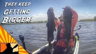 Kayak Catfishing  Drifting Floats for GIANT Channel Cats [upl. by Erait]