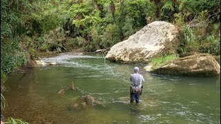 Incredible Fly Fishing for BIG Rainbow Trout in a Stunning River [upl. by Weinert]