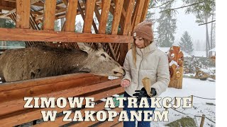 ZAKOPANE ZIMĄ  jakie atrakcje zobaczyć [upl. by Kendrick560]