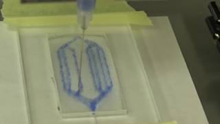 Gelatin microfluidics fabrication and perfusion test [upl. by Nnylorac612]